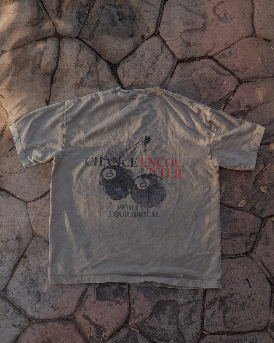 CHANCE ENCOUNTER - ASH - PREMIUM T SHIRT