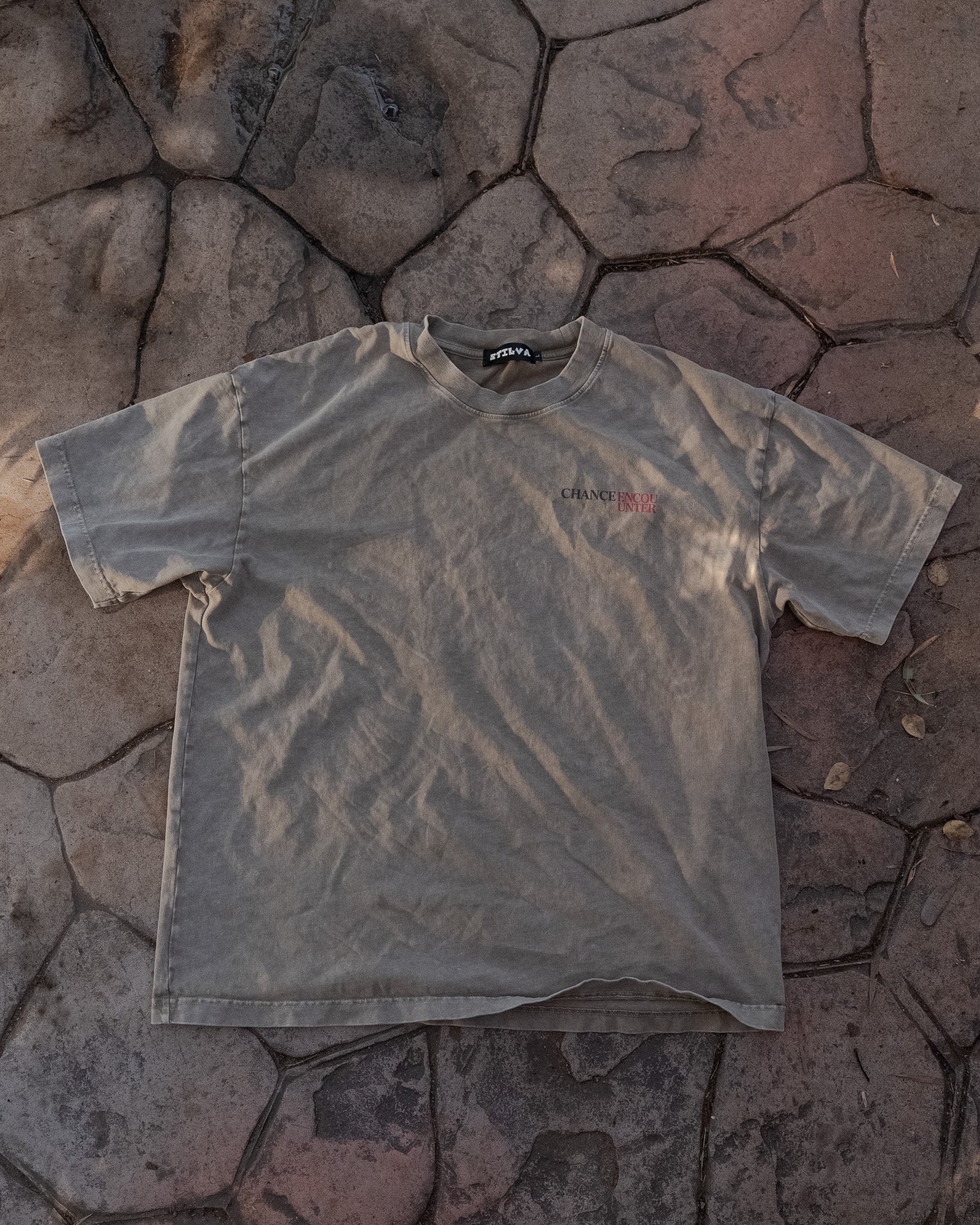 CHANCE ENCOUNTER - ASH - PREMIUM T SHIRT