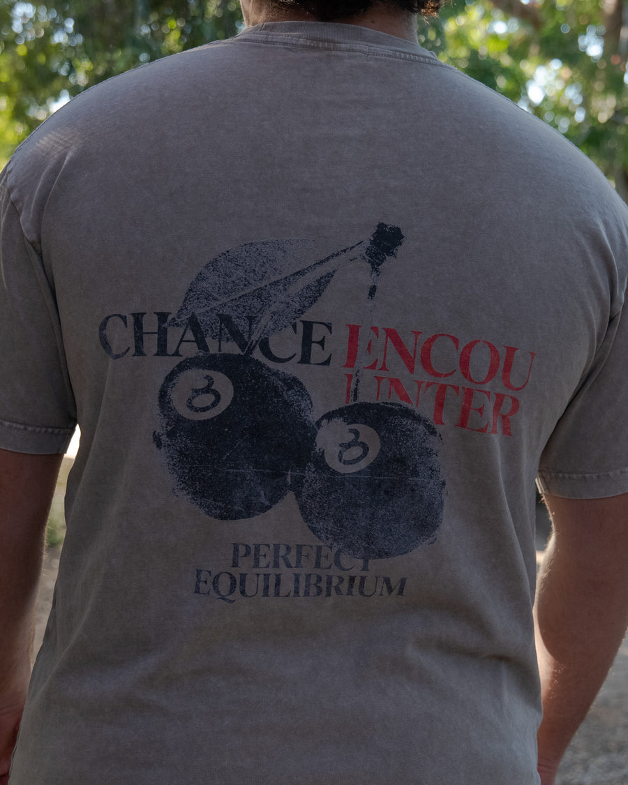 CHANCE ENCOUNTER - ASH - PREMIUM T SHIRT